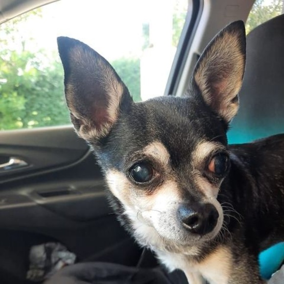 Meet your Posher, Paul - Picture 1 of 1